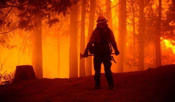 别的简报｜官方称加州大火是由一个宝宝性别揭晓派对引发的