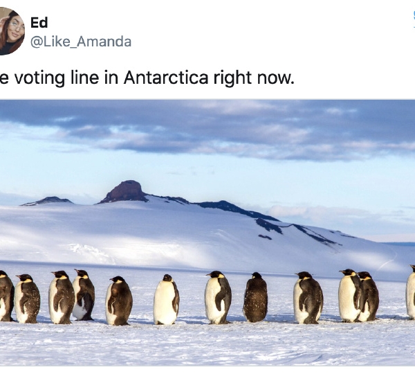 别的简报丨小唐纳德·特朗普发布了自己的大选预测图