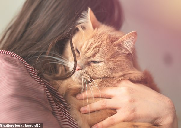 别的简报｜澳洲出台法律保护家庭暴力受害者的宠物