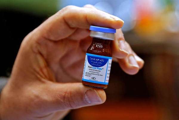 别的简报｜“伊斯兰医学之父” 说注射新冠病毒疫苗能把你变成同性恋