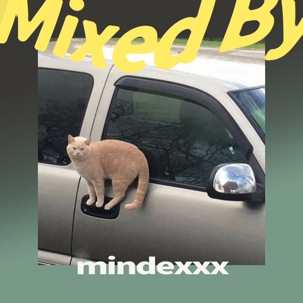 Mixed by... mindexxx